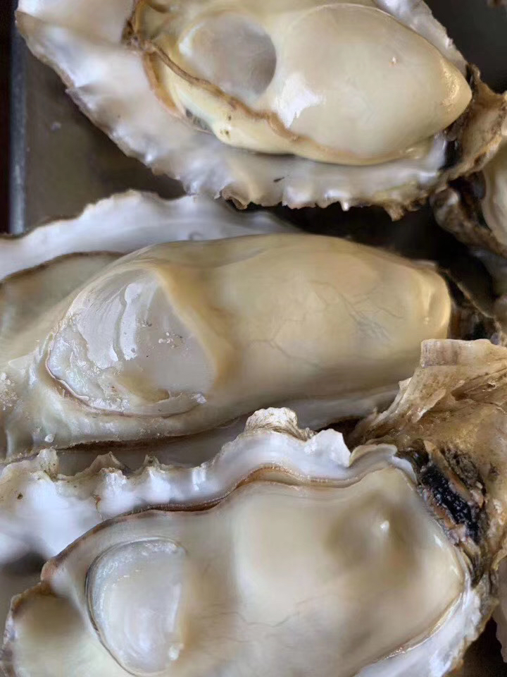 [生蚝批发]乳山本地精品三倍体生蚝,装箱精挑细选,零损耗价格4.