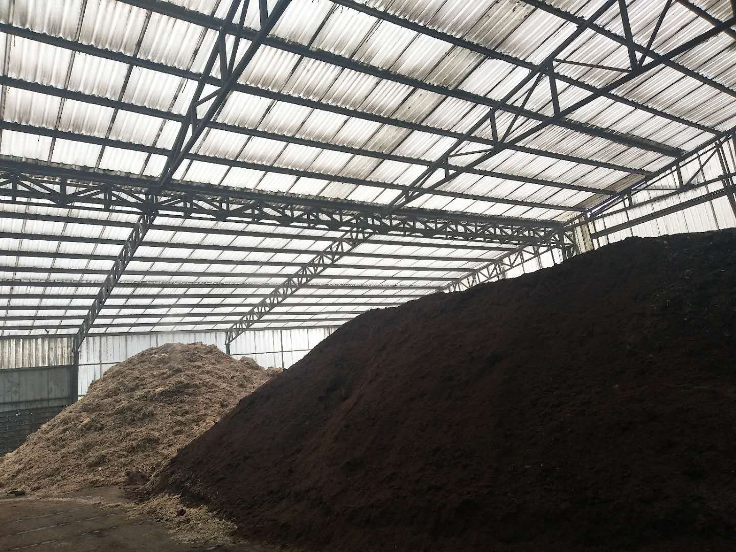 茼蒿田间整地与施肥示意图