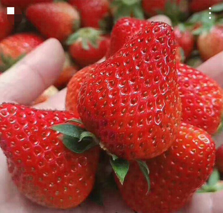 不同水果钾含量对比柱状图
