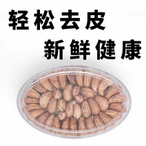 特级A+超大紫皮大腰果盒装一件代发盐焗腰果