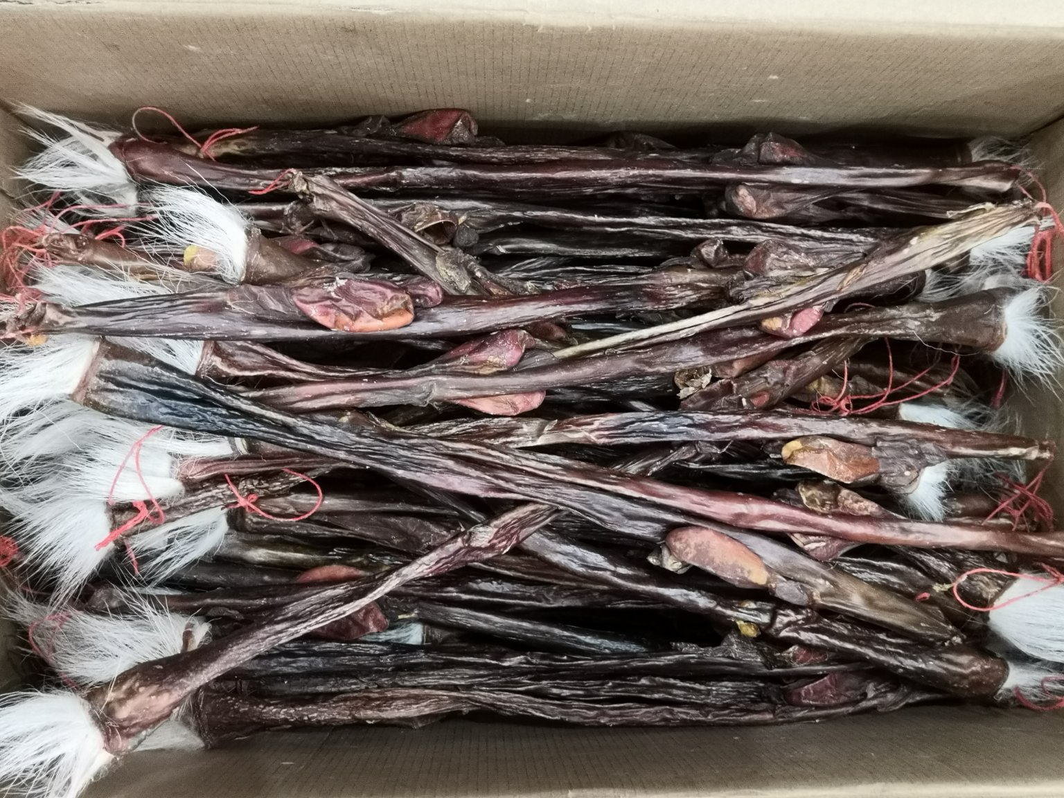 鹿鞭膏成品展示