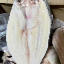 巴沙鱼2斤一条大巴沙鱼20斤一件