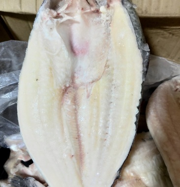 巴沙鱼2斤一条大巴沙鱼20斤一件