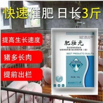 肥壮元～增肥增重调理肠胃预防拉稀提前出栏拉大骨骼猪催肥