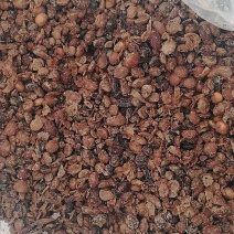 生物菌发酵大豆你的不二之选