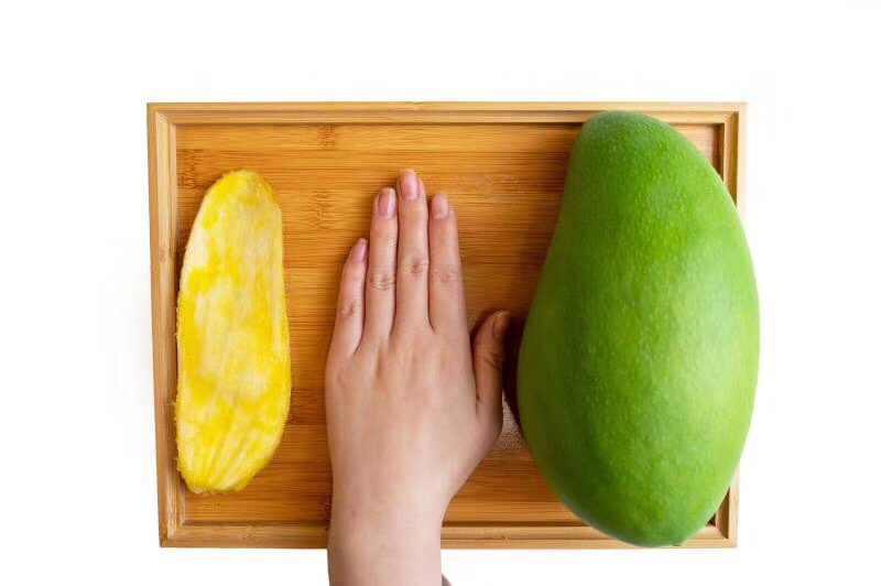 大青芒与长芒稗对比图,展示两种植物在形态与用途上的差异 大青芒与长芒稗对比图