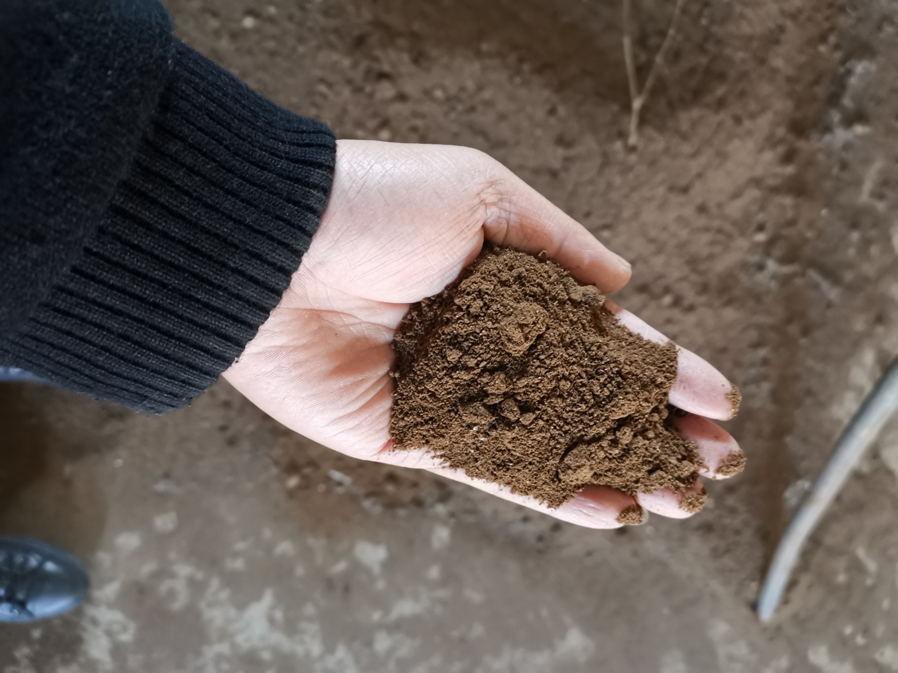 展示健康土壤与受污染土壤的对比样本 健康土壤与受污染土壤对比图