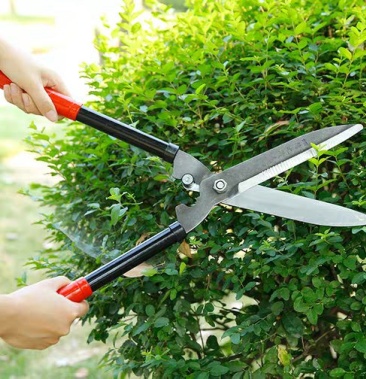 园艺园林工具大剪刀草坪剪修枝绿篱剪粗枝果树修剪绿化花剪篱