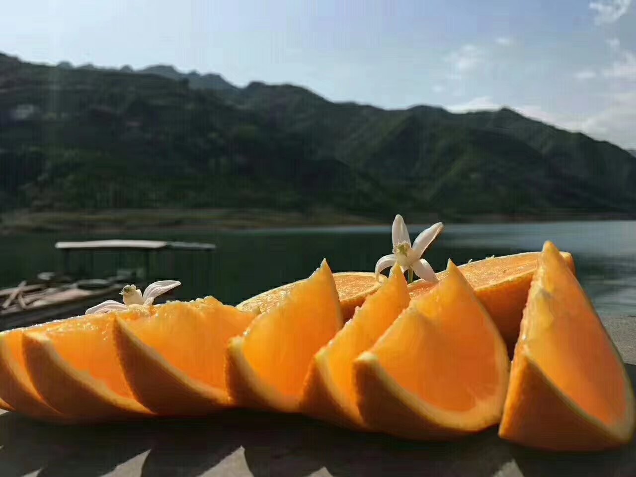 一家人围坐在餐桌前分享刚剥开的伦晚脐橙