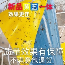 双面粘虫板黄蓝一体可降解螺纹黄板黑色黏虫板灭虫板粘蝇板诱