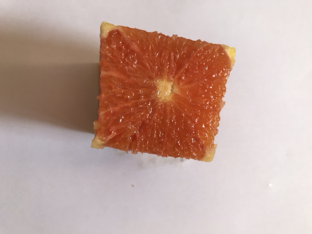 甜橙果皮特写展示油胞与纹理
