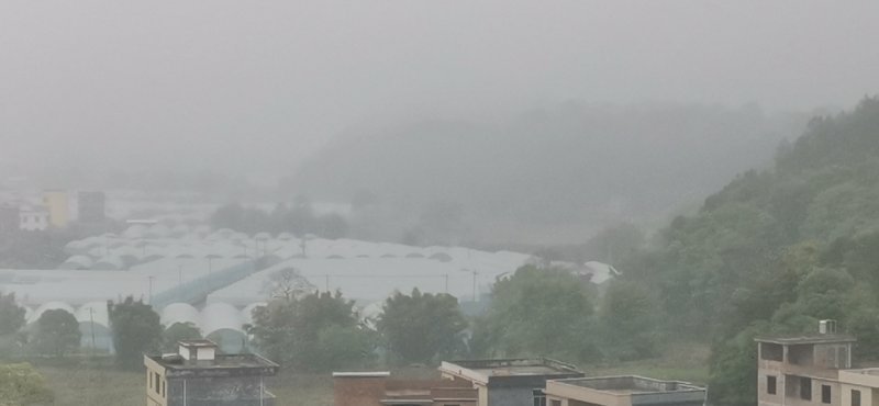 丝瓜花与夜行昆虫互动示意图