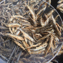 油炸蓝刀鱼（加粉）