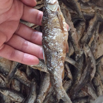 油炸蓝刀鱼（不加粉）