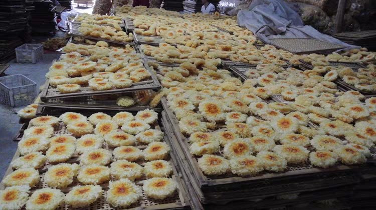 清晨阳光下,农户正在山间空地铺设竹席晾晒小碗秋耳,黑褐色耳片整齐排列,背景可见雾气缭绕的森林,展现原生态加工环境 小碗秋耳晾晒场景