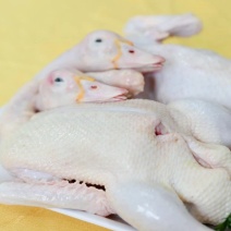 广州鸭肉批发，质优价廉，工厂加工现杀现卖