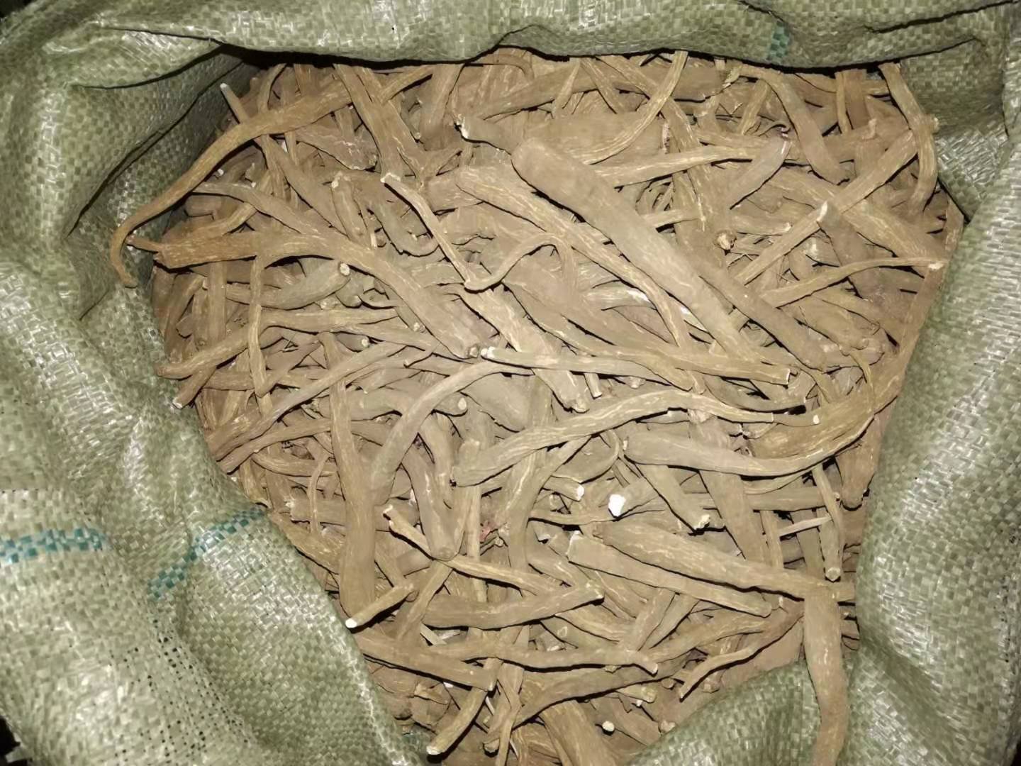 中药师正在研磨白芷药材的场景