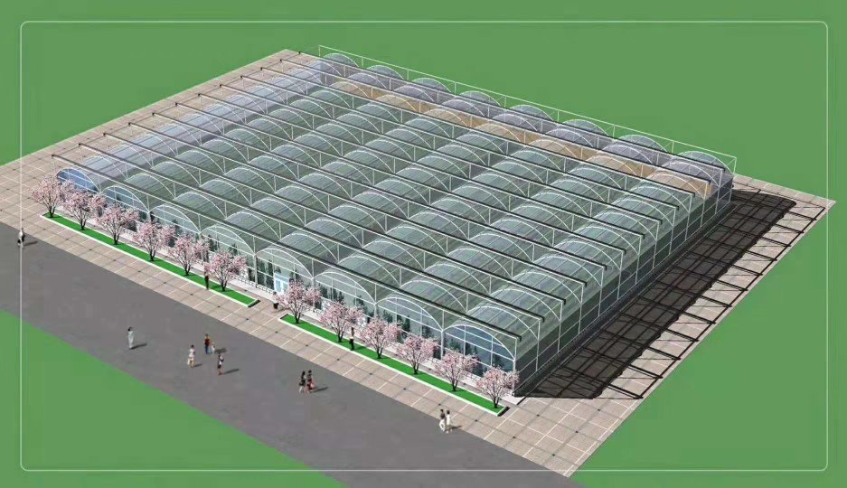 草莓不同生态区种植模式对比图