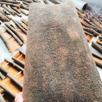 大量桂皮求购