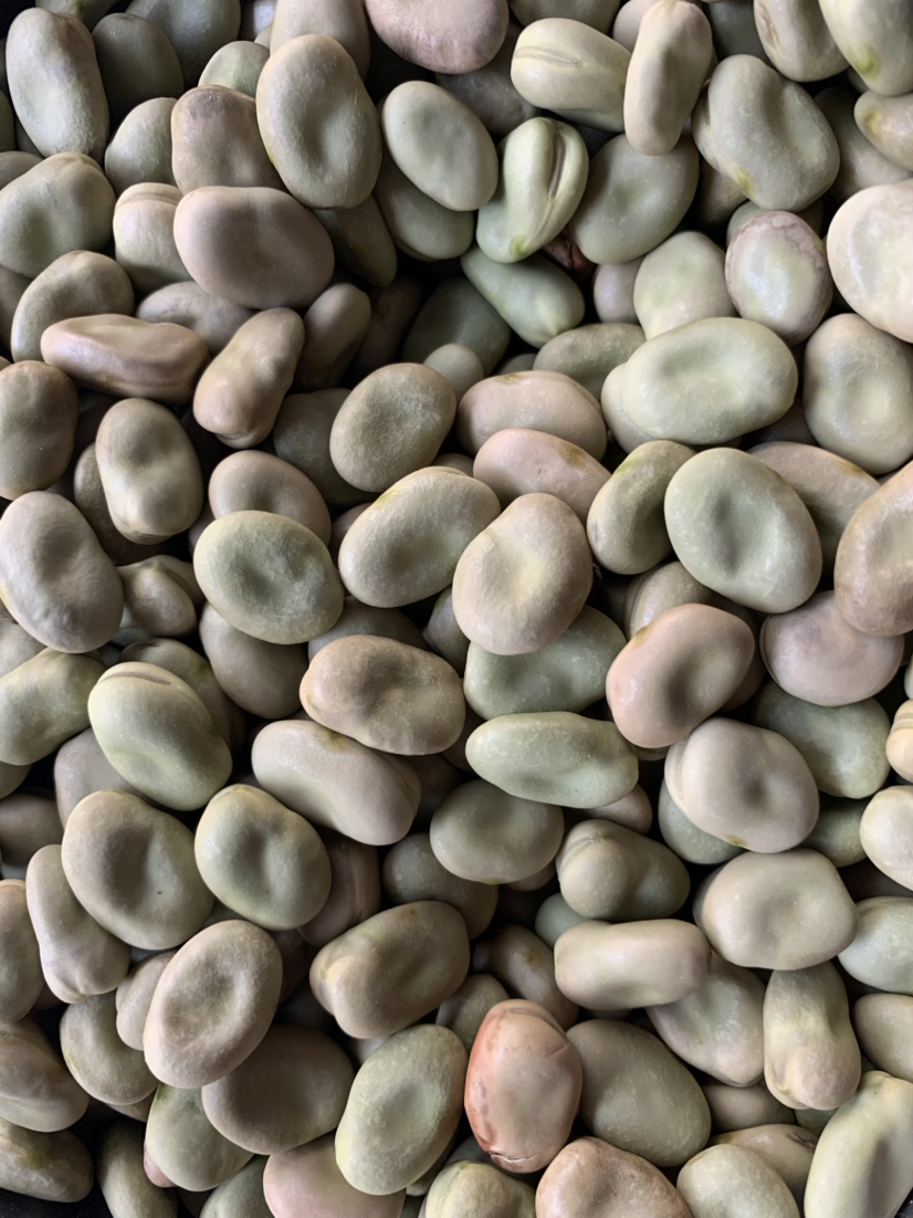 [蚕豆批发]绿蚕豆 绿心蚕豆 保山小绿豆 生货 炒货专用价格5.