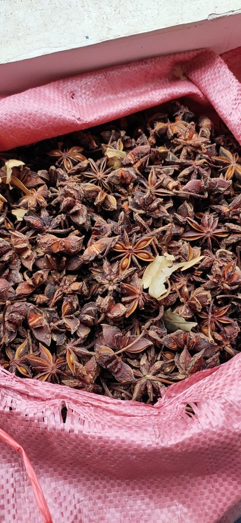 藤县古龙八角原产地!