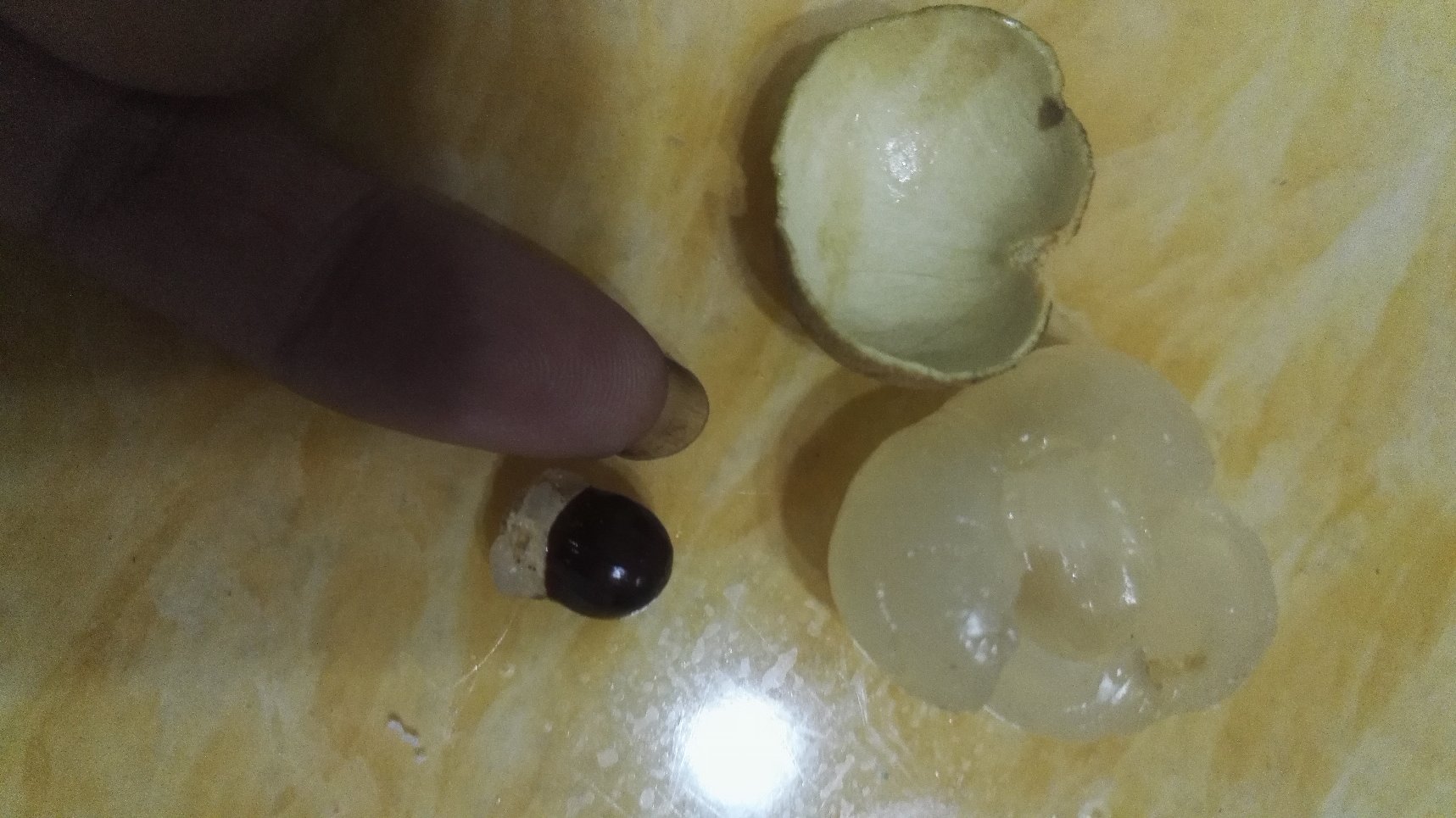 显微镜下对比图：左侧为新鲜储良龙眼果肉细胞结构完整，右侧为存放5天后细胞间隙增大、液泡破裂