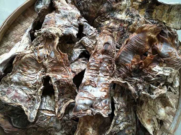 不同种类的食用笋拼图