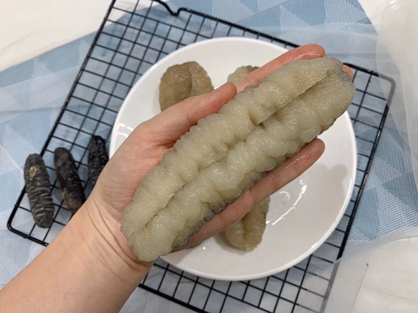 南沙参与北沙参对比图