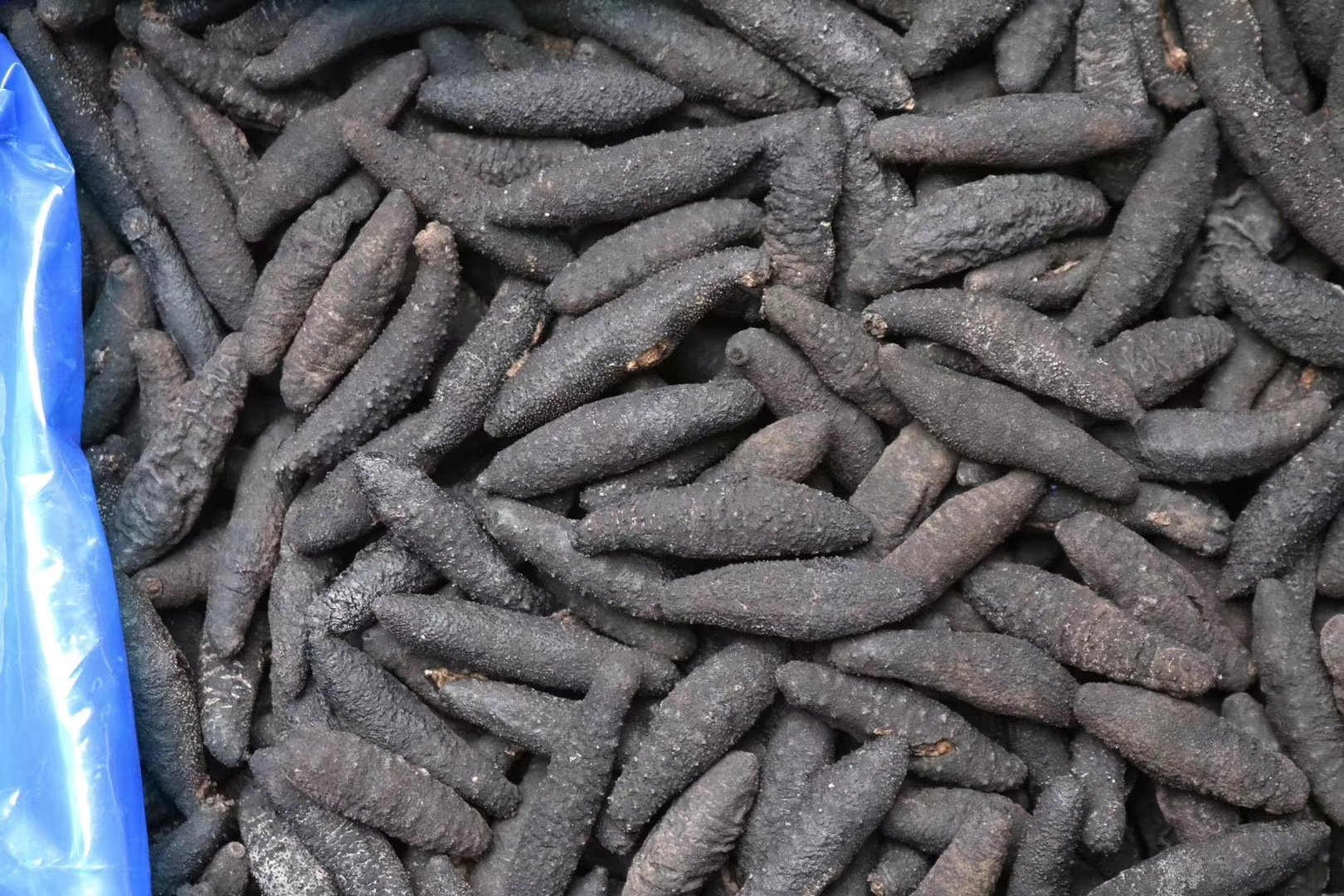 海参泡发过程图