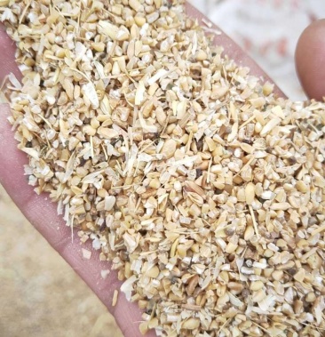 碎麦子粗糠小麦,鸡鸭鹅料草鱼饲料水产食料 小麦下脚料麦碎