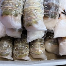 古巴龙虾尾，大虾尾纯肉虾尾