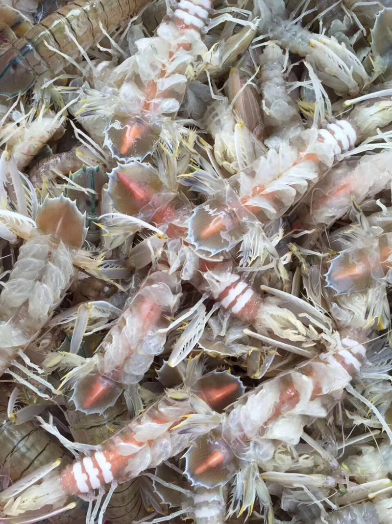 钦州三娘湾海鲜批发