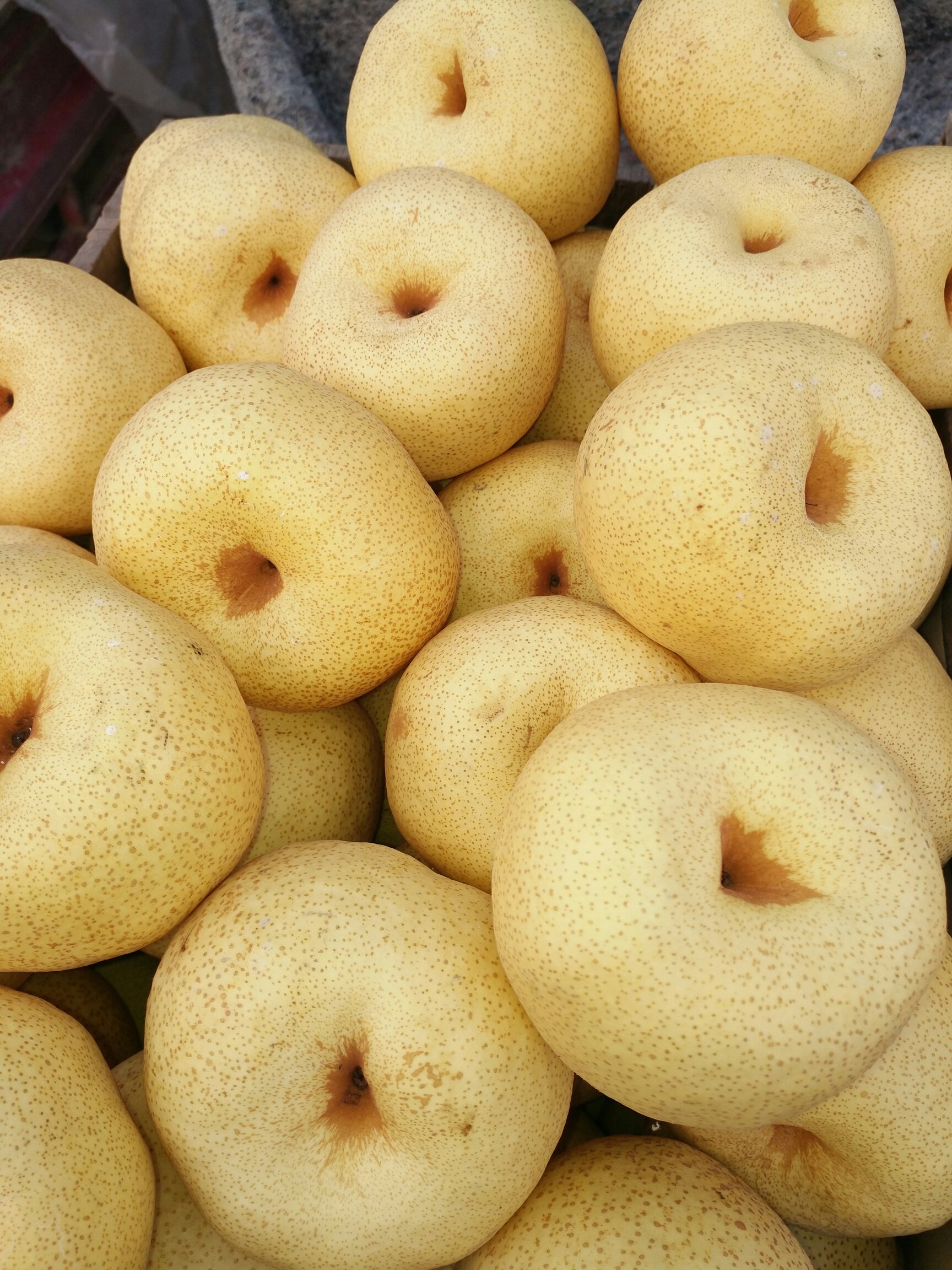 [酥梨批发]砀山梨,精品酥梨光果 口感甜皮薄量大450~500g价格0.