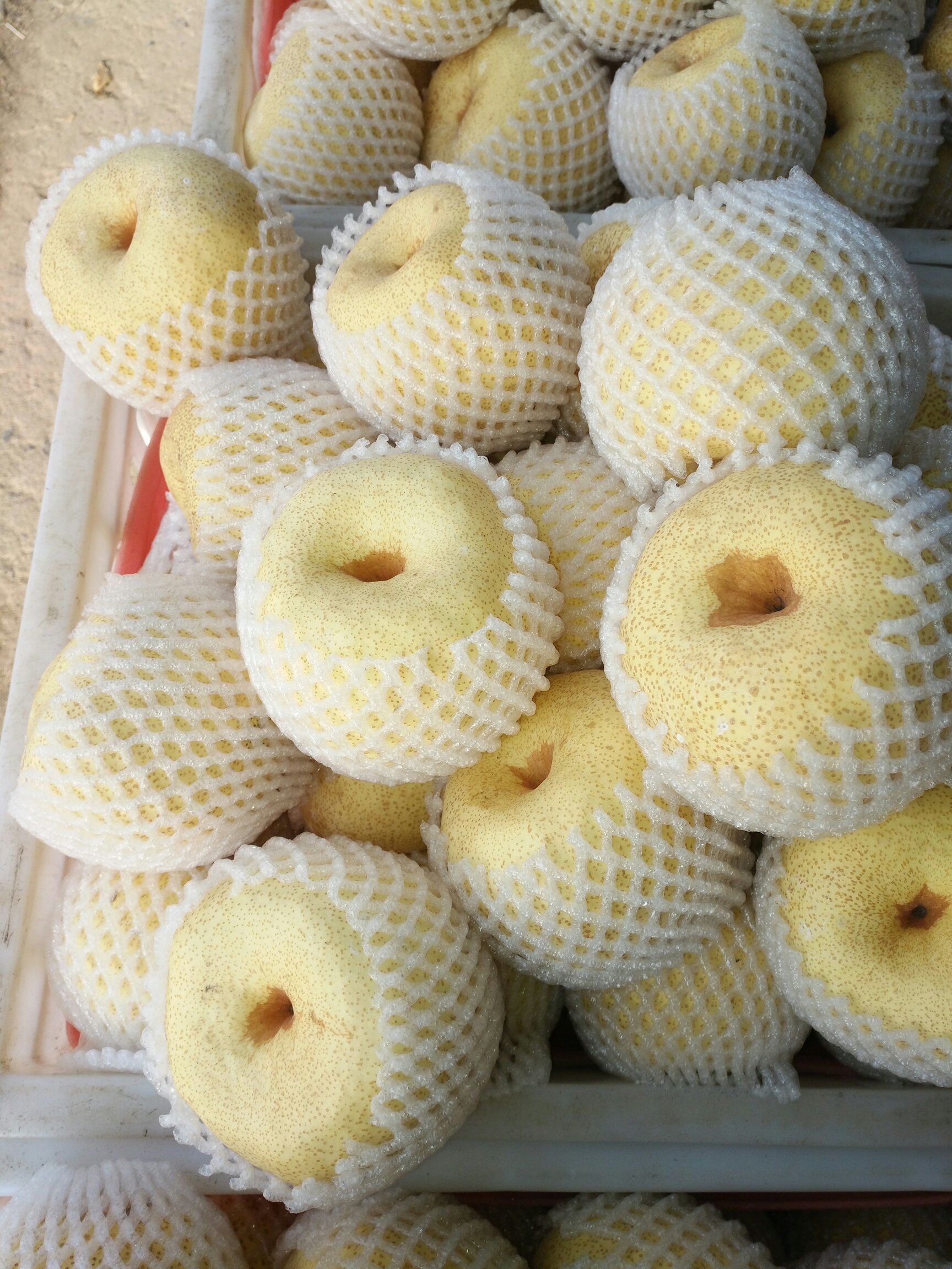 [酥梨批发]砀山梨,精品酥梨光果 口感甜皮薄量大450~500g价格0.