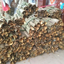 桂皮