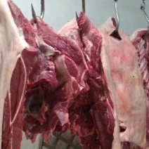 精品驴肉厂家一手货源发货