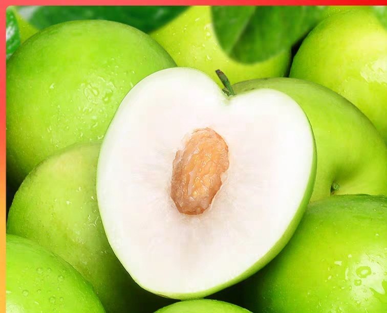 青枣品种对比图