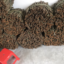桂皮干桂皮
