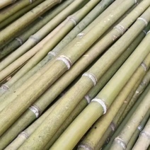 诚邀合作，菜架竹，撑杆，工地外架，