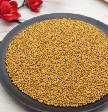 黄芥子黄芥末子黄介籽干净各种籽类药材