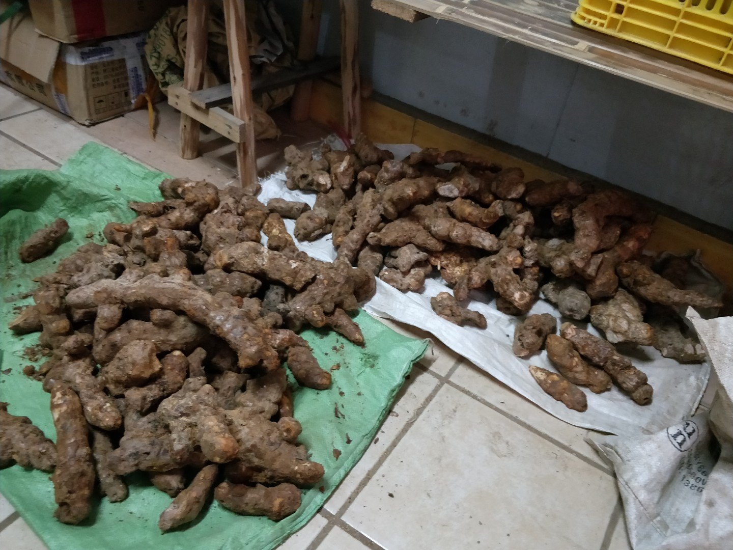 葛根与土茯苓的对比图