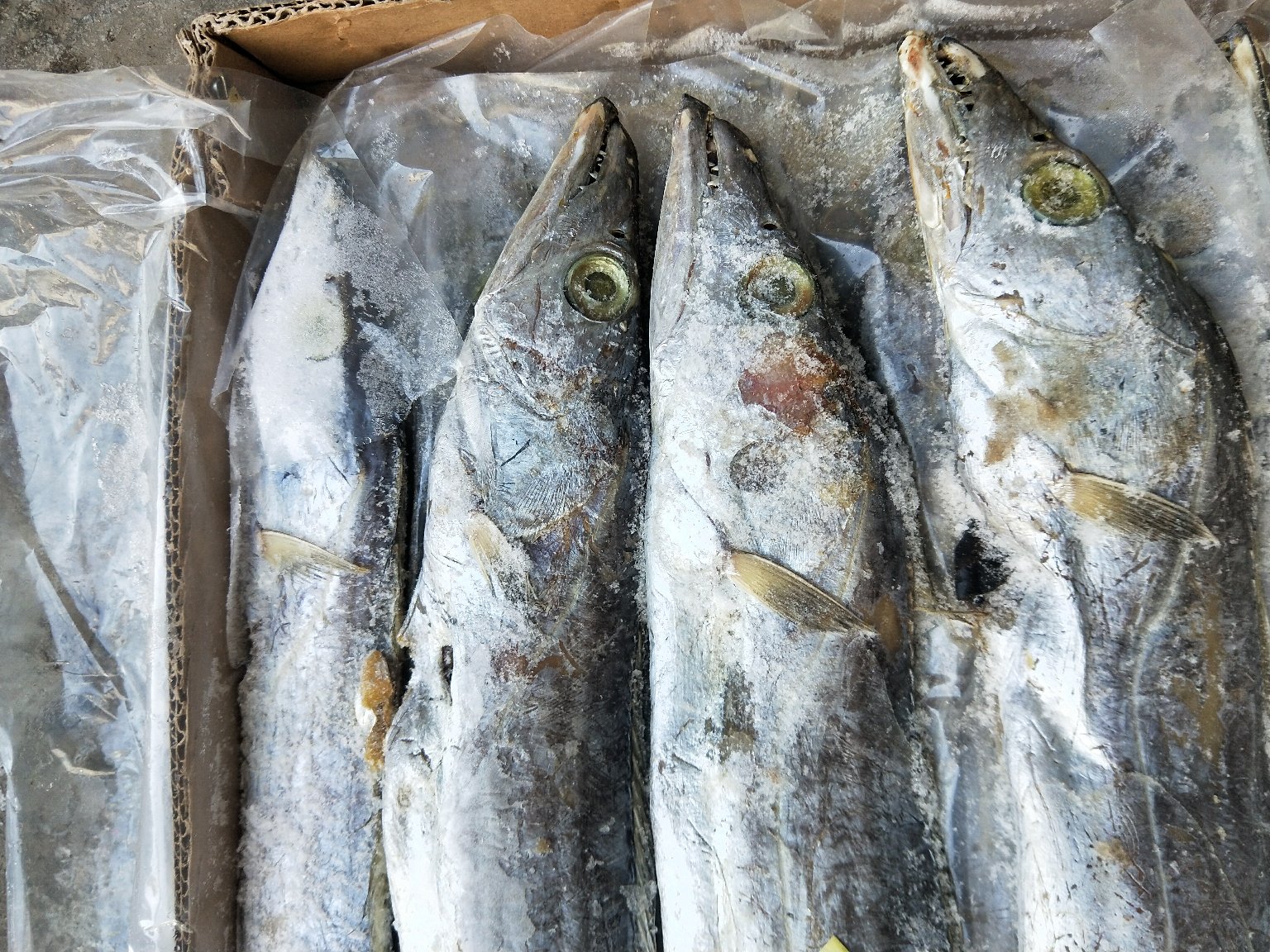 市场中正在售卖的新鲜鱼腥草根