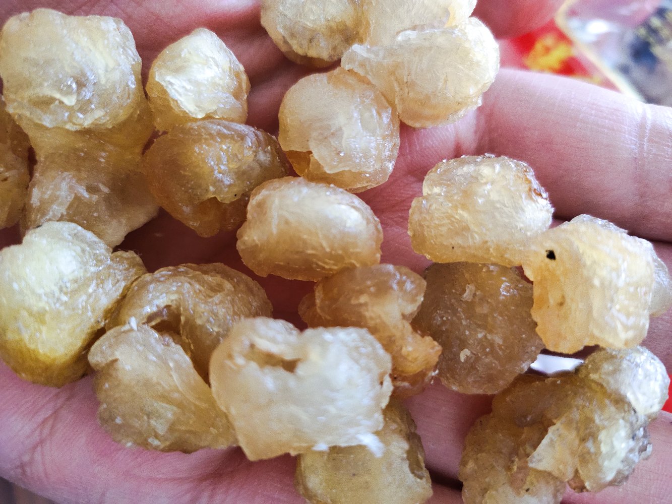 龙眼蜜汁酿糯米成品图,色彩诱人,层次分明 龙眼蜜汁糯米甜点成品图