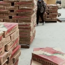 批发白条鸭，3斤左右规格，价格低，冷链发货