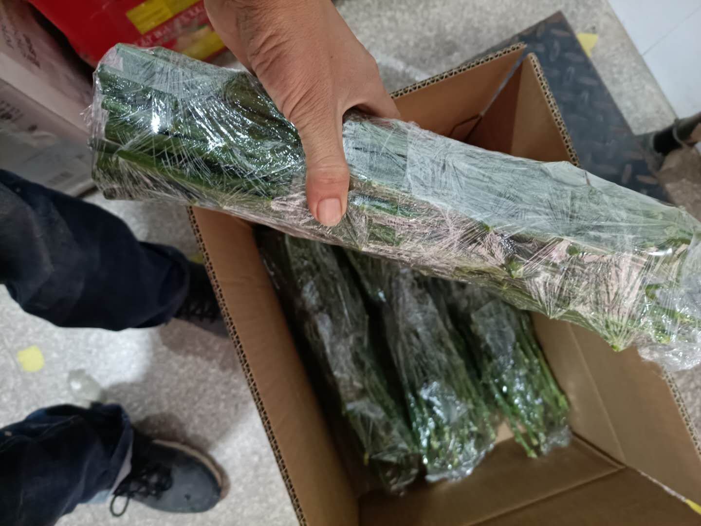 柚子在冰箱中冷藏的示意图,展示如何用保鲜袋包裹柚子 柚子在冰箱中冷藏的示意图
