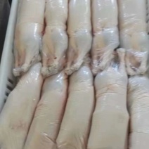 白条鸭