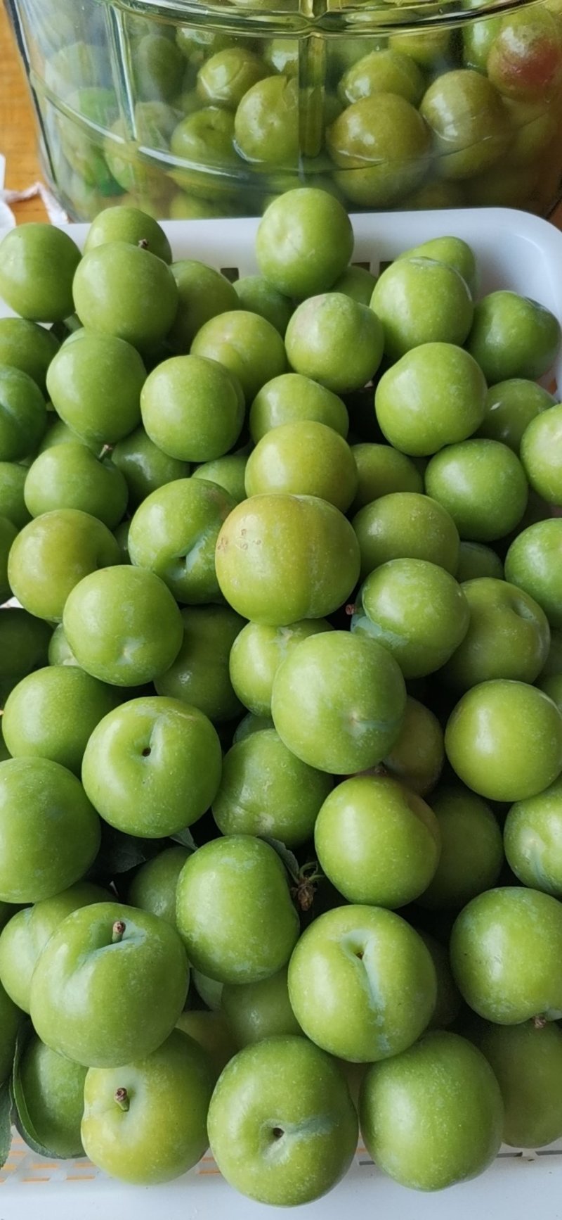 早熟三华李,孕妇水果,.