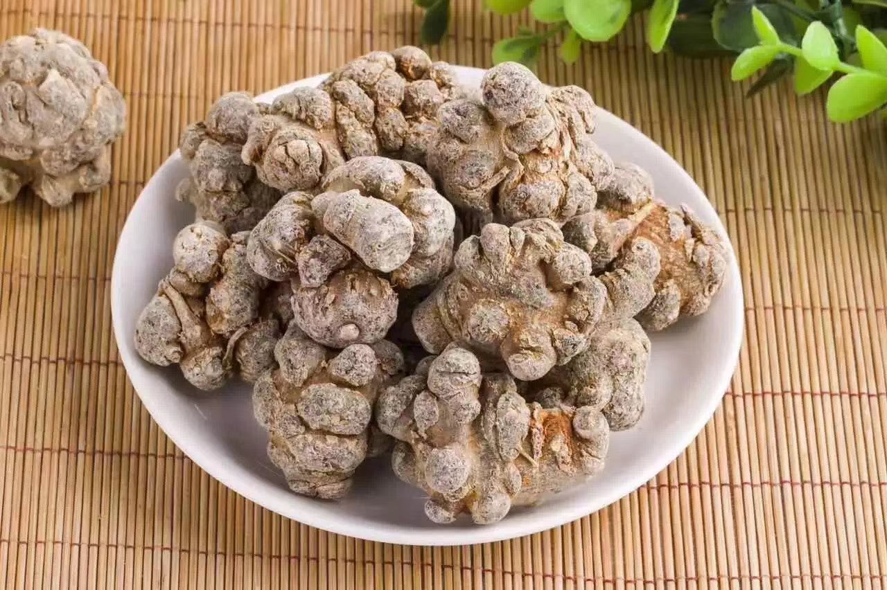 人体膝关节解剖图,标注出软骨、滑膜、关节腔等结构,在图像一侧叠加三七皂苷分子结构式,并用箭头示意其抑制炎症、保护软骨、改善血流的三大作用路径,图文结合说明机制 膝关节结构与三七作用示意