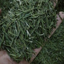 绿茶