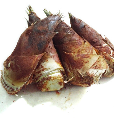 江西赣南春笋竹笋黄泥笋毛笋新鲜蔬菜大量批发一件代发